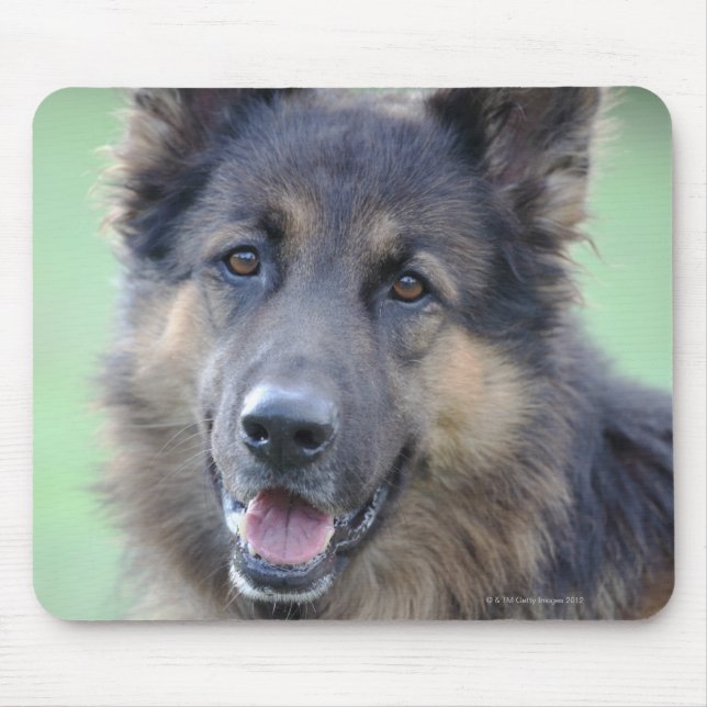 Portrait der deutschen Sheppard Mousepad (Vorne)