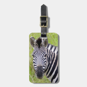 Portrait der Ebenen Zebra, Hluhluwe-Umfolozi-Spiel Gepäckanhänger