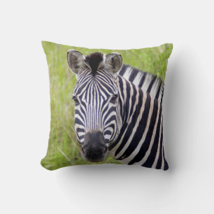 Portrait der Ebenen Zebra, Hluhluwe-Umfolozi-Spiel Kissen