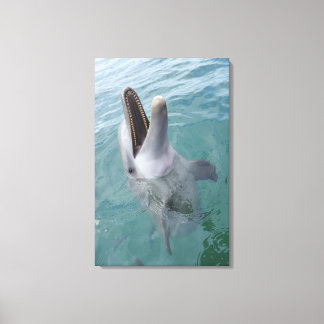 Portrait der Gemeinen Bottlenose-Dolphin, Karibik Leinwanddruck