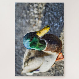 Portrait der männlichen Stockente nah Puzzle