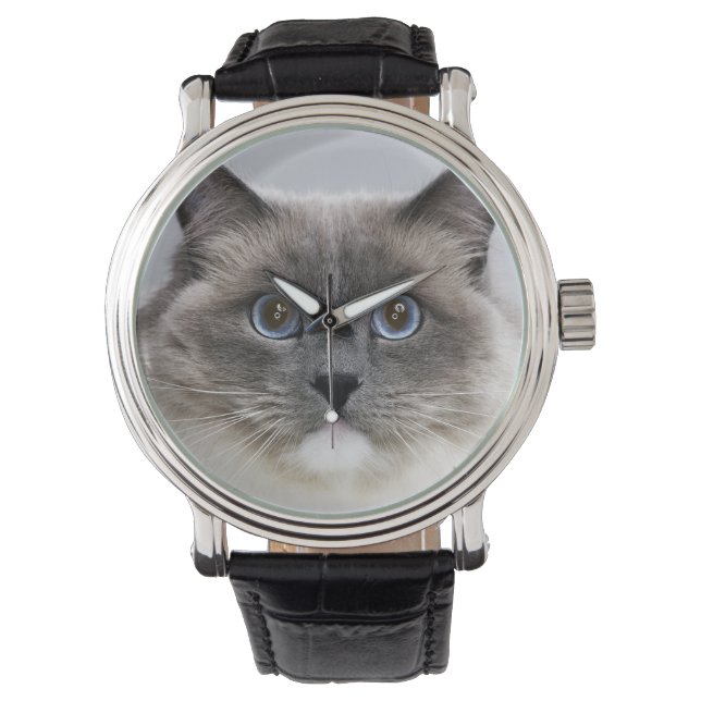 Portrait der Ragdoll-Katze Armbanduhr (Vorderseite)