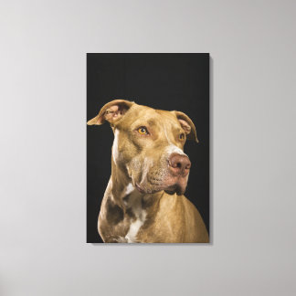 Portrait der roten Nasenrutsche mit schwarz Leinwanddruck
