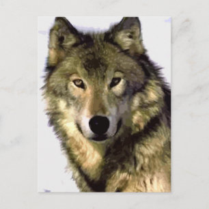 Portrait der Wolf-Post-Karte Postkarte