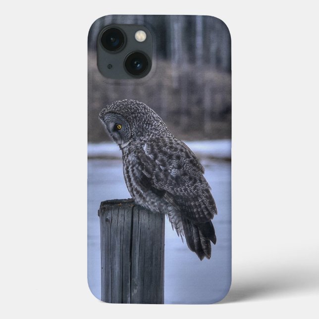 Portrait des Fotos "Great Gray Owl Wildlife" III Case-Mate iPhone Hülle (Rückseite)