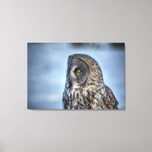 Portrait des Fotos "Great Gray Owl Wildlife" III Leinwanddruck