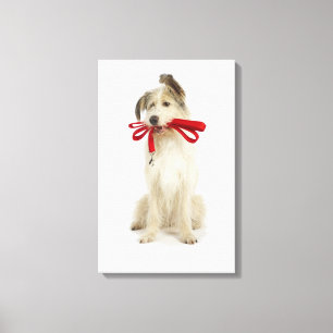 Portrait des Hundes mit Leash Leinwanddruck