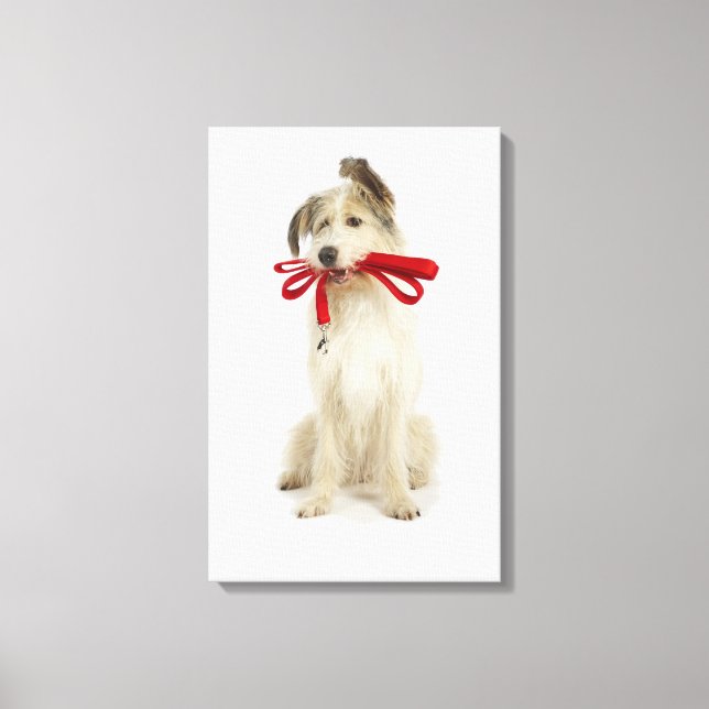 Portrait des Hundes mit Leash Leinwanddruck (Vorderseite)