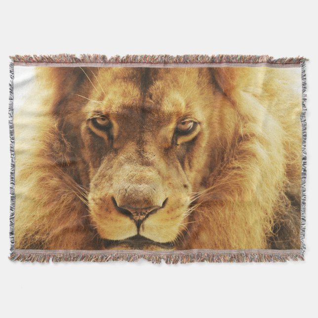 Portrait des männlichen afrikanischen Löwen. Decke (Vorderseite)