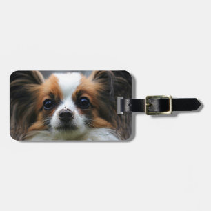 Portrait des reinrassigen Papillon-Hundes Gepäckanhänger