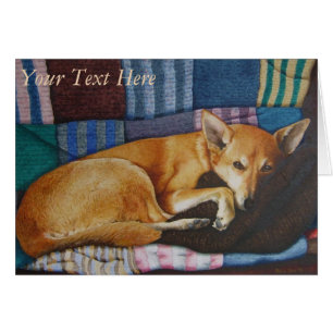 Portrait deutscher Hirtenlabrador gemischte Rasse