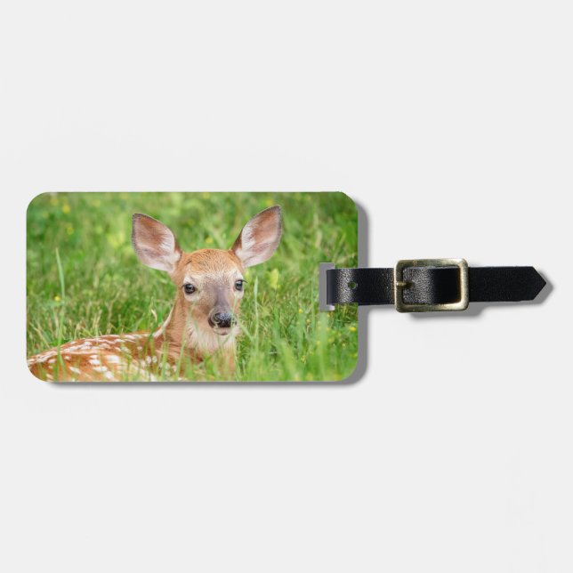 Portrait einer Faune (Weißschwanzhirsche) Gepäckanhänger (Vorderseite horizontal)