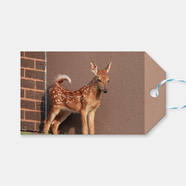 Portrait einer Faune (Weißschwanzhirsche) Geschenkanhänger (Vorderseite (Horizontal))