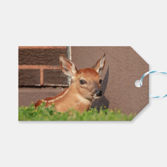 Portrait einer Faune (Weißschwanzhirsche) Geschenkanhänger (Vorderseite (Horizontal))
