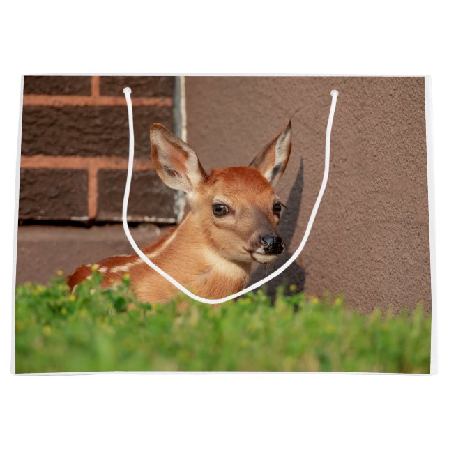 Portrait einer Faune (Weißschwanzhirsche) Große Geschenktüte (Vorderseite)