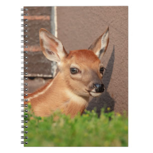 Portrait einer Faune (Weißschwanzhirsche) Notizblock