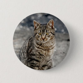 Portrait einer Katze Button
