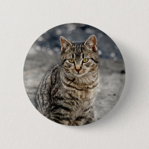 Portrait einer Katze Button