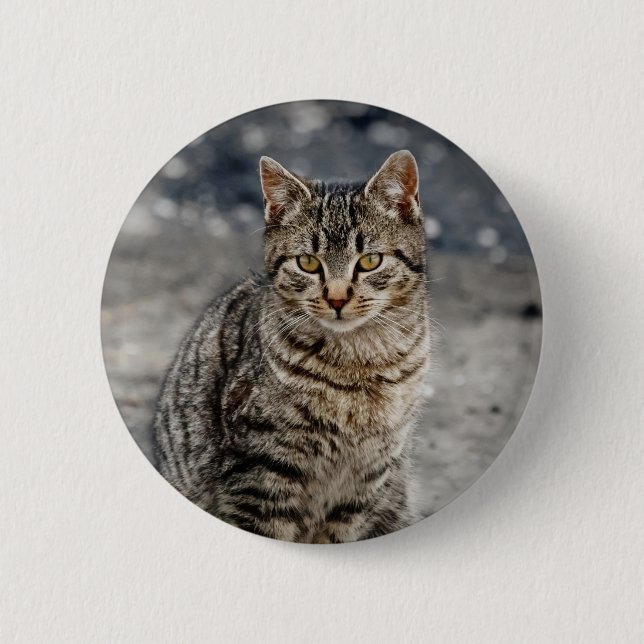 Portrait einer Katze Button (Vorderseite)