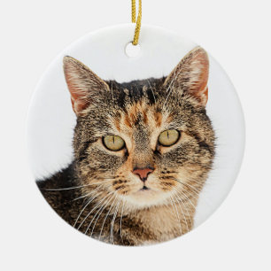 Portrait einer Katze Keramik Ornament
