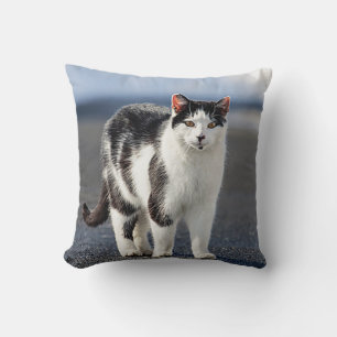 Portrait einer Katze Kissen