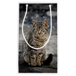 Portrait einer Katze Kleine Geschenktüte