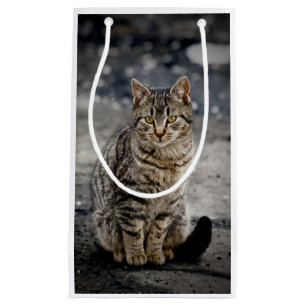 Portrait einer Katze Kleine Geschenktüte