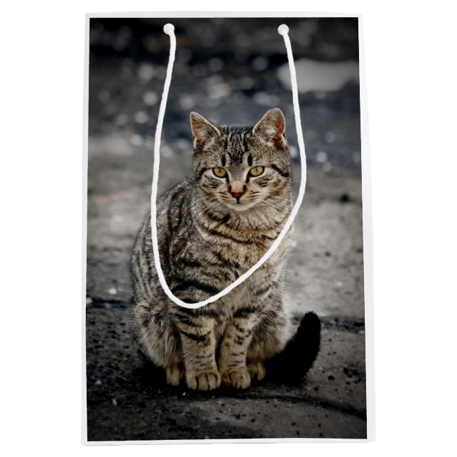 Portrait einer Katze Mittlere Geschenktüte (Vorderseite)