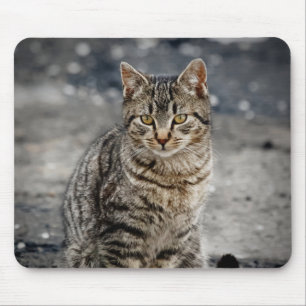 Portrait einer Katze Mousepad