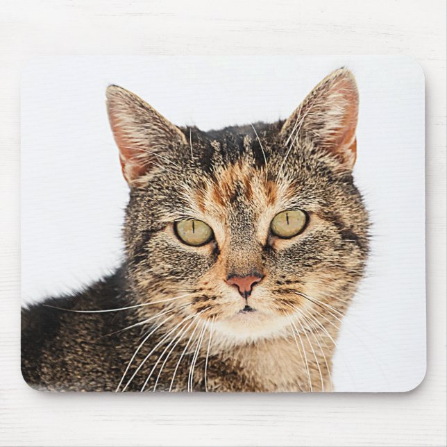 Portrait einer Katze Mousepad (Vorne)