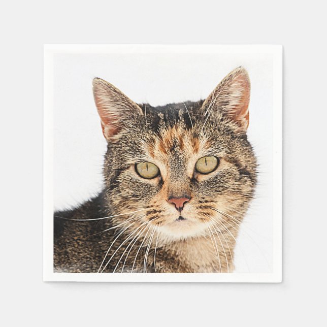 Portrait einer Katze Serviette (Vorderseite)