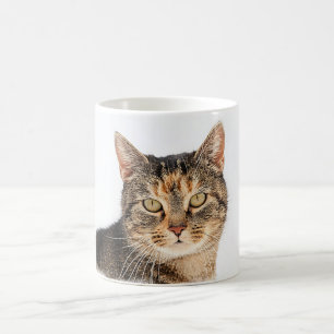 Portrait einer Katze Tasse