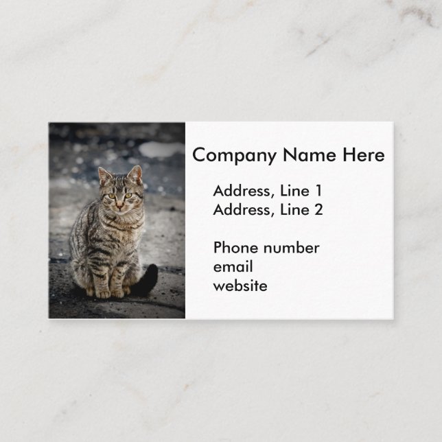 Portrait einer Katze Visitenkarte (Vorderseite)