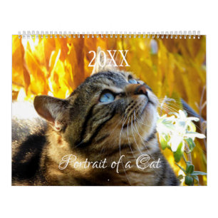 Portrait einer Katzenkalender - HAMbyWG Kalender