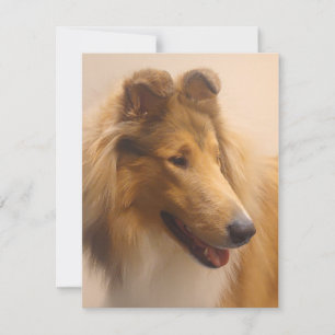 Portrait einer robusten Sable Collie Mitteilungskarte