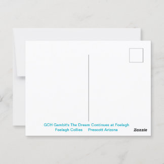 Portrait einer robusten Sable Collie Postkarte