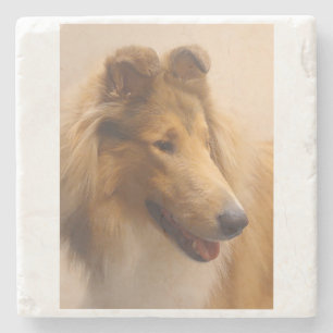 Portrait einer robusten Sable Collie Steinuntersetzer