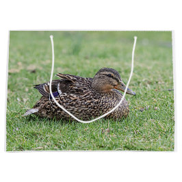 Portrait einer weiblichen Mallard Große Geschenktüte