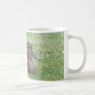 Portrait einer weiblichen Mallard Kaffeetasse