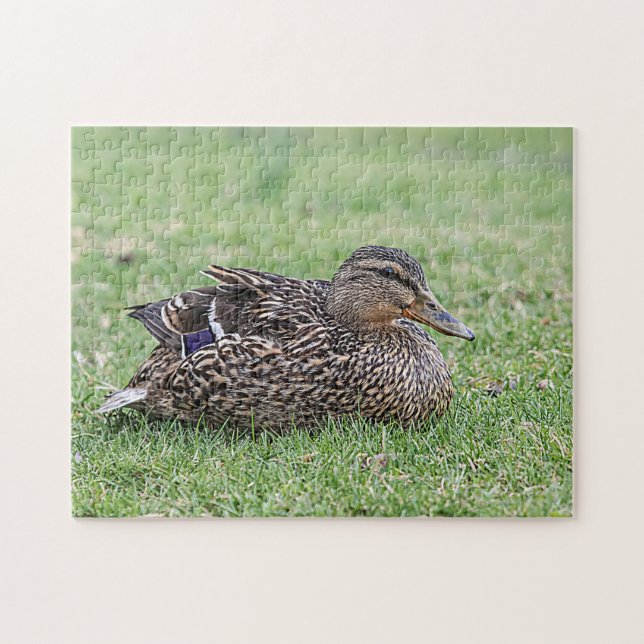 Portrait einer weiblichen Mallard Puzzle (Horizontal)