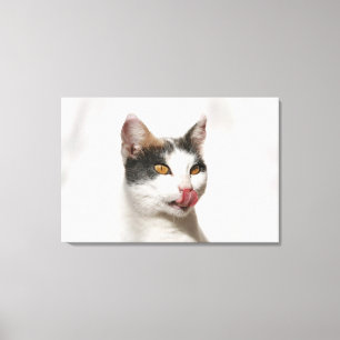Portrait einer weißen Katze lecken Leinwanddruck