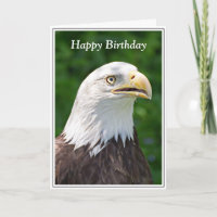 Portrait eines Bald Adler Happy Birthday