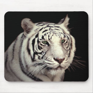 Portrait eines Bengalischen Tigers Mousepad