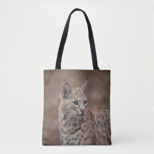 Portrait eines Bobcat