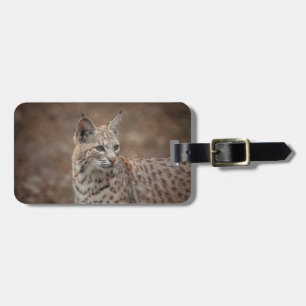 Portrait eines Bobcat Gepäckanhänger