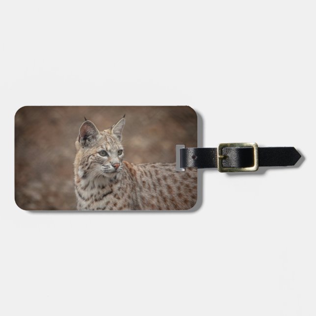 Portrait eines Bobcat Gepäckanhänger (Vorderseite horizontal)