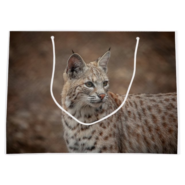 Portrait eines Bobcat Große Geschenktüte (Vorderseite)