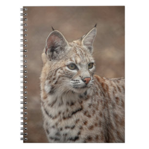 Portrait eines Bobcat Notizblock