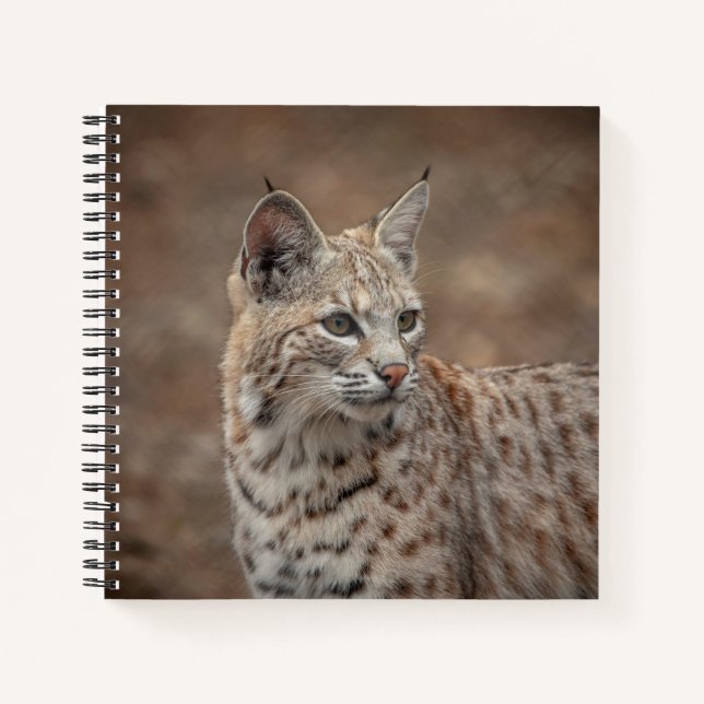 Portrait eines Bobcat Notizbuch (Vorderseite)