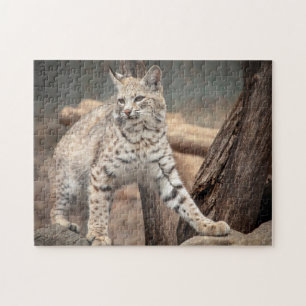 Portrait eines Bobcat Puzzle